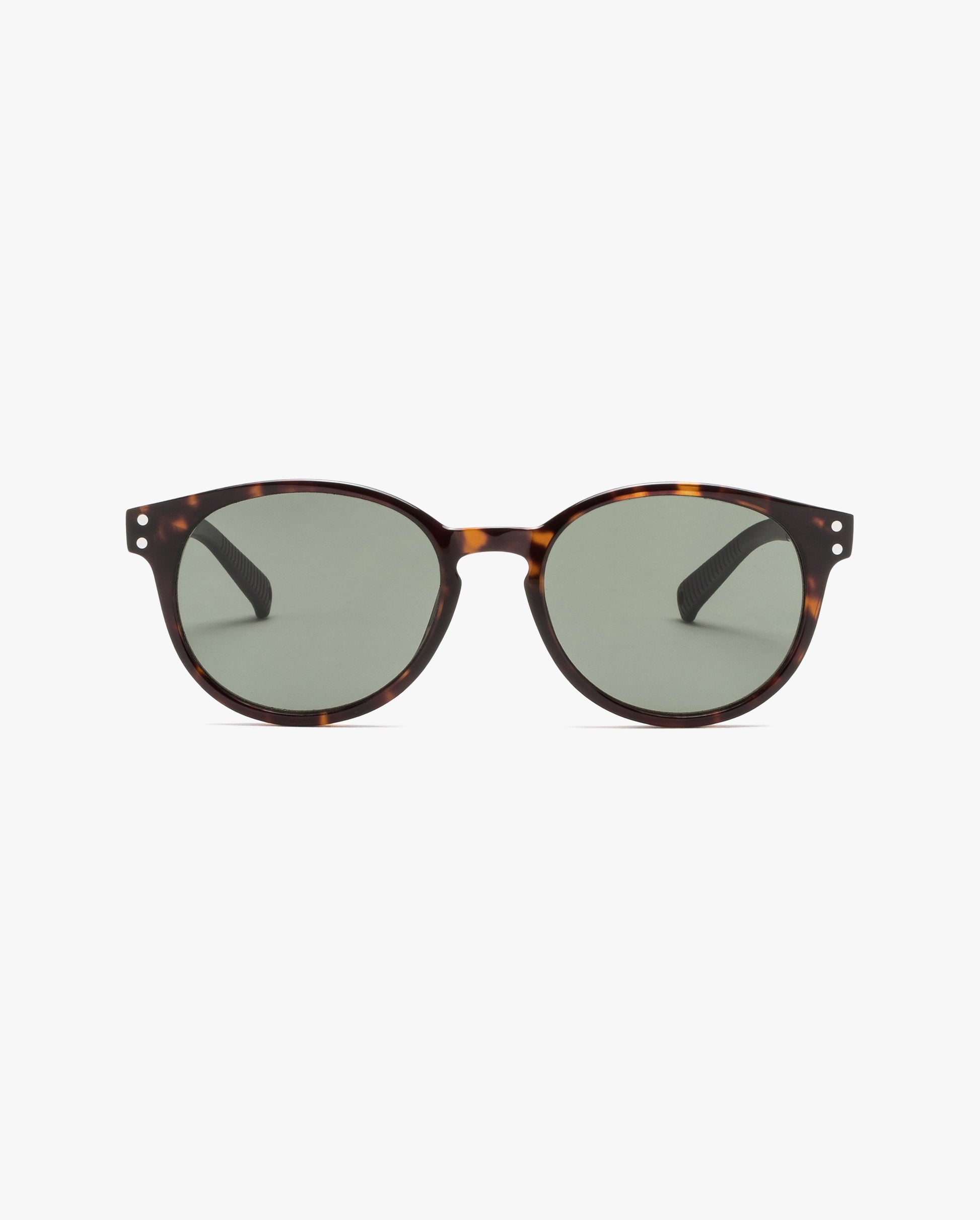 CareyKids-sol-classic-tortoise