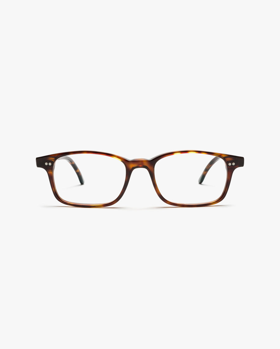 Ryder-graduadas-Classic-tortoise